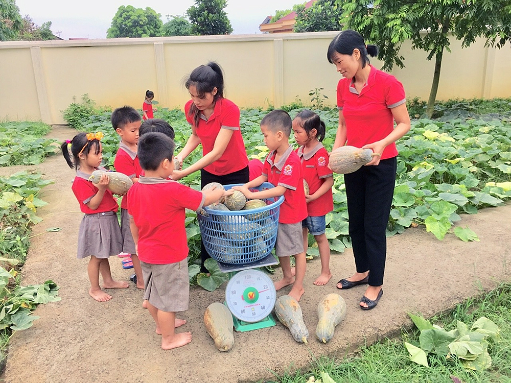 Ngành Giáo dục Việt Yên đẩy mạnh mô hình vườn rau sạch trong trường học